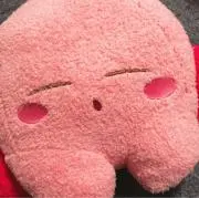 ぬの画像