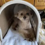 るんるんの画像