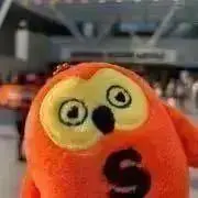 a***iの画像