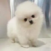 k☆彡