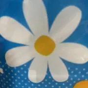 フルコートの画像
