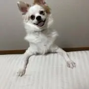 歩乃華