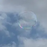 sayo＊の画像