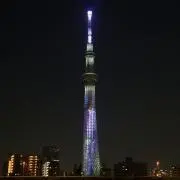 SgSgの画像