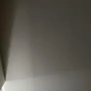 PiLの画像