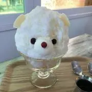 しろくまの画像