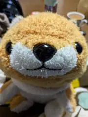 まめおの画像