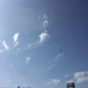 りっぴの画像