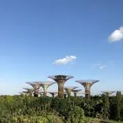 ウーナムの画像