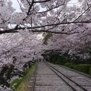 リク