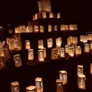 ポンmiの画像