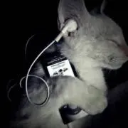 Wtke6jkの画像