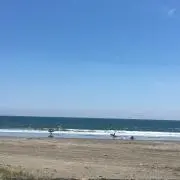 すぎ