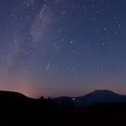 しゃけの画像