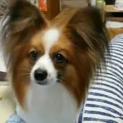 沙和