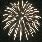 かなもんの画像