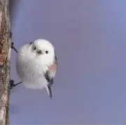 mの画像