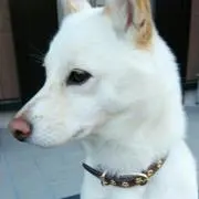 REKO