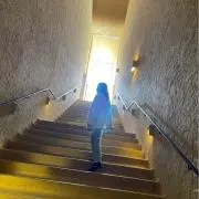 なのたろうの画像
