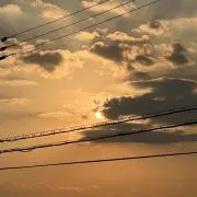 あぽん