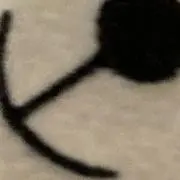 KiMの画像