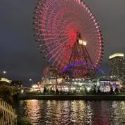 ナラ24の画像