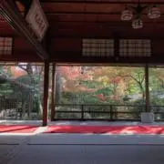 yukaの画像