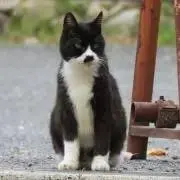reiの画像