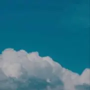 むーの画像