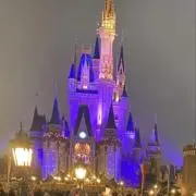 Sho8182 即日発送の画像