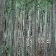 hana-s来月より50円値上げですの画像