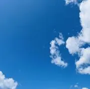 yamaの画像