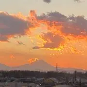 hamin★プロフお読み下さい(^^)の画像