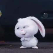 うさぎ