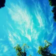 青空（おまとめ歓迎）の画像