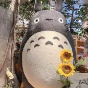 わらびもちの画像