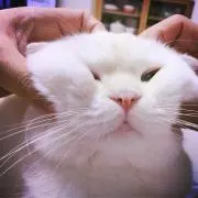 ultranxmb ☆