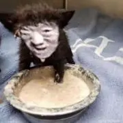 mgngwg.g