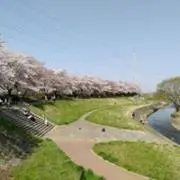 市川