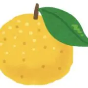 ゆずの画像