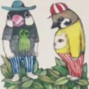 コタちゃんの画像