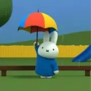 ＊qy ＊の画像