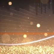四本