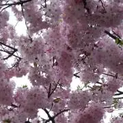 とっとこ