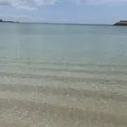 TBJの画像
