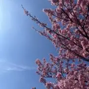mの画像
