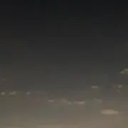 蛍
