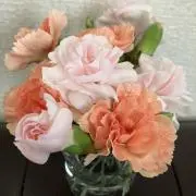 みうみう（プロフ必読）の画像