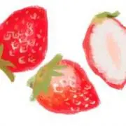 fraise