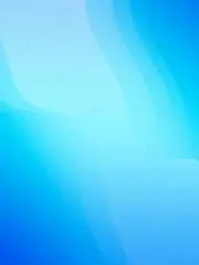 テンの画像